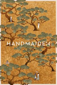 The Handmaiden MMSub