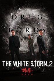 The White Storm 2: Drug Lords MMSub