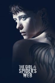 The Girl in the Spider’s Web MMSub