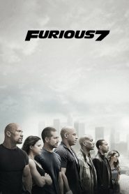 The Fast and the Furious 7 : Furious 7 MMSub