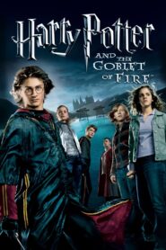 Harry Potter and the Goblet of Fire MMSub