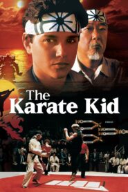The Karate Kid MMSub