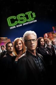 CSI: Crime Scene Investigation MMSub