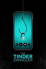 The Tinder Swindler MMSub