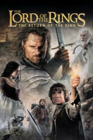 The Lord of the Rings: The Return of the King MMSub