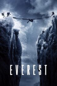 Everest MMSub