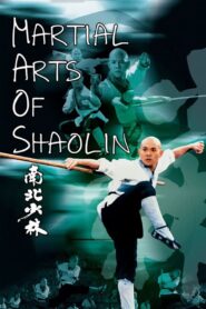 Martial Arts of Shaolin MMSub