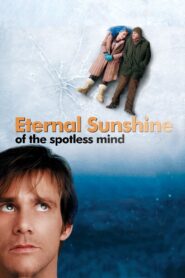 Eternal Sunshine of the Spotless Mind MMSub