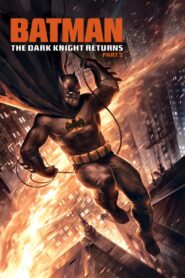Batman: The Dark Knight Returns, Part 2 MMSub