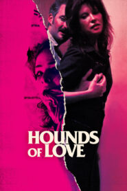 Hounds of Love MMSub