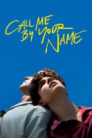 Call Me by Your Name MMSub