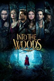 Into the Woods MMSub