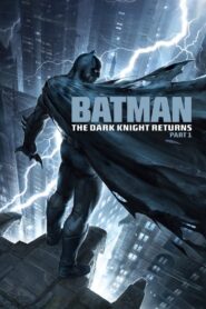Batman: The Dark Knight Returns, Part 1 MMSub