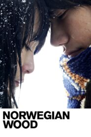 Norwegian Wood MMSub