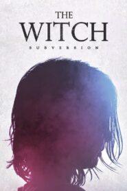 The Witch: Part 1. The Subversion MMSub