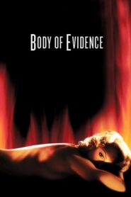 Body of Evidence MMSub
