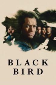 Black Bird MMSub