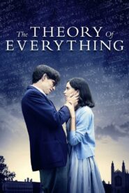 The Theory of Everything MMSub