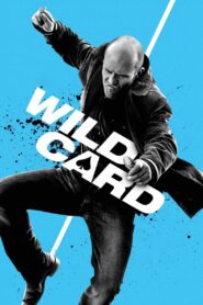 Wild Card MMSub