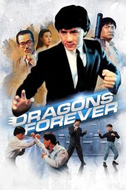 Dragons Forever MMSub