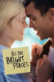 All the Bright Places MMSub