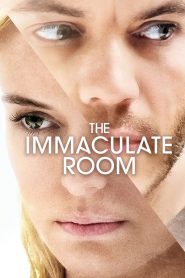 The Immaculate Room MMSub