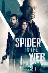 Spider in the Web MMSub