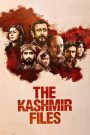 The Kashmir Files MMSub