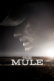 The Mule MMSub