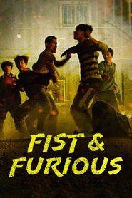 Fist & Furious 2019 MMSub