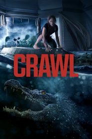 Crawl MMSub