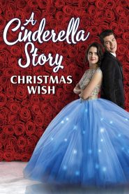 A Cinderella Story: Christmas Wish MMSub