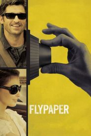 Flypaper MMSub