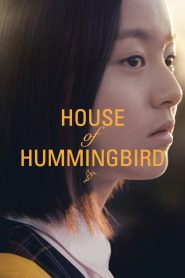 House of Hummingbird MMSub