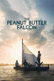 The Peanut Butter Falcon MMSub