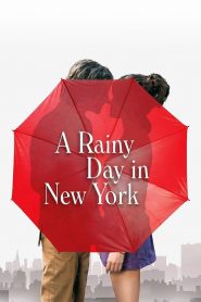 A Rainy Day in New York MMSub