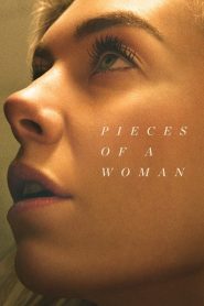 Pieces of a Woman MMSub