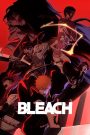 Bleach MMSub