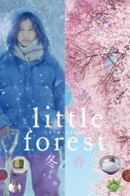 Little Forest Winter Spring MMSub