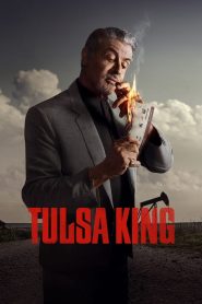 Tulsa King MMSub