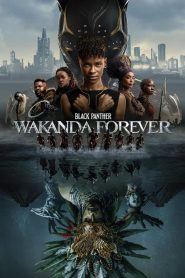 Black Panther Wakanda Forever MMSub