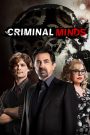 Criminal Minds MMSub