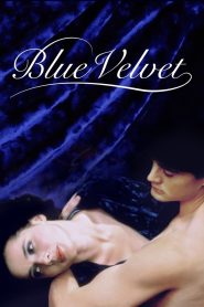 Blue Velvet MMSub