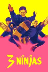 3 Ninjas MMSub