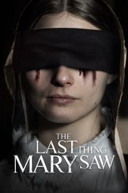 The Last Thing Mary Saw MMSub