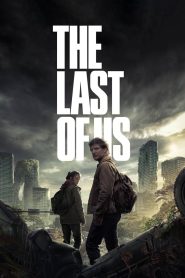 The Last of Us MMSub