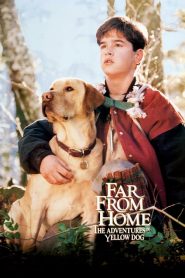 Far from Home: The Adventures of Yellow Dog MMSub