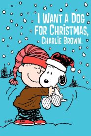 I Want a Dog for Christmas, Charlie Brown MMSub
