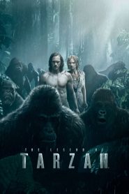 The Legend of Tarzan MMSub