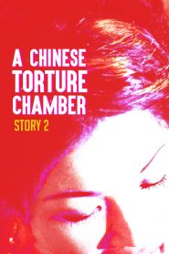 A Chinese Torture Chamber Story II MMSub